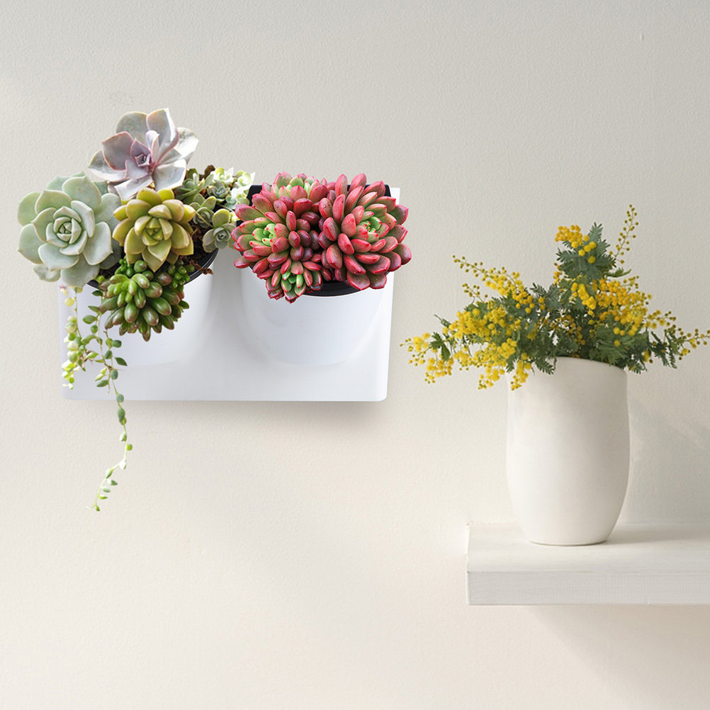 Self-Watering Planter - 自動給水植木鉢 プラスチック製 バイオレット プランター 装飾用 室内/屋外