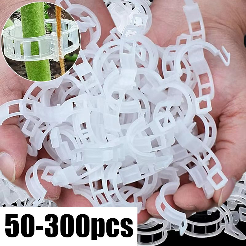 Gardening Tools For Vines - 50-300個入り 植物サポートクリップ 再利用可能なプラスチック製 蔓固定クリップ トマト、ブドウ、野菜植物用ホルダー バックル