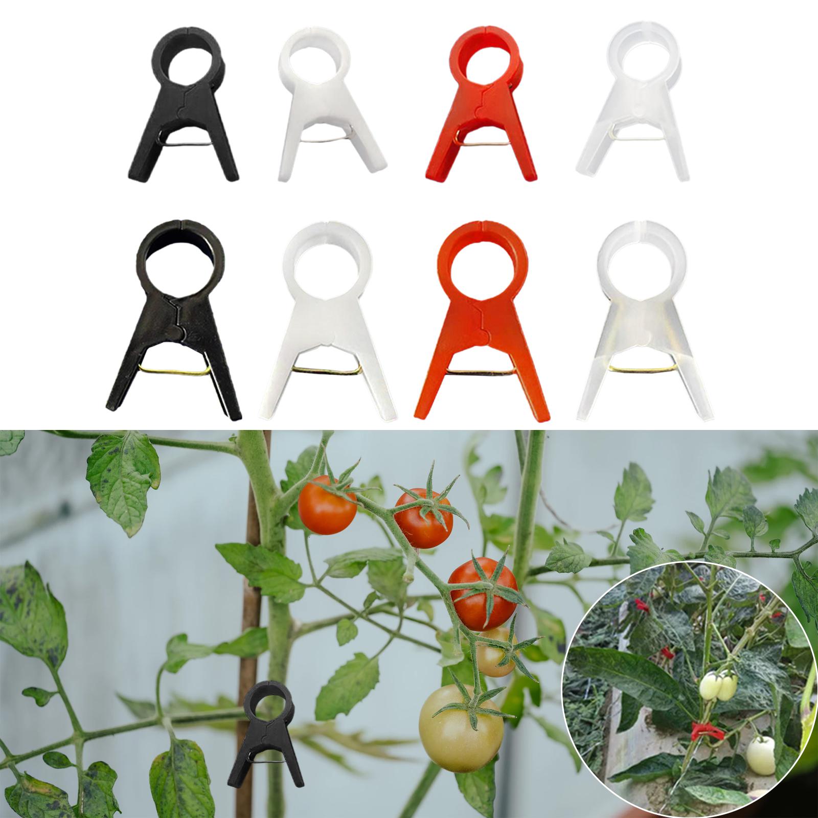 Gardening Tools For Vines - 100x 植物サポートクリップ垂直園芸ツールキュウリブドウつる花つる