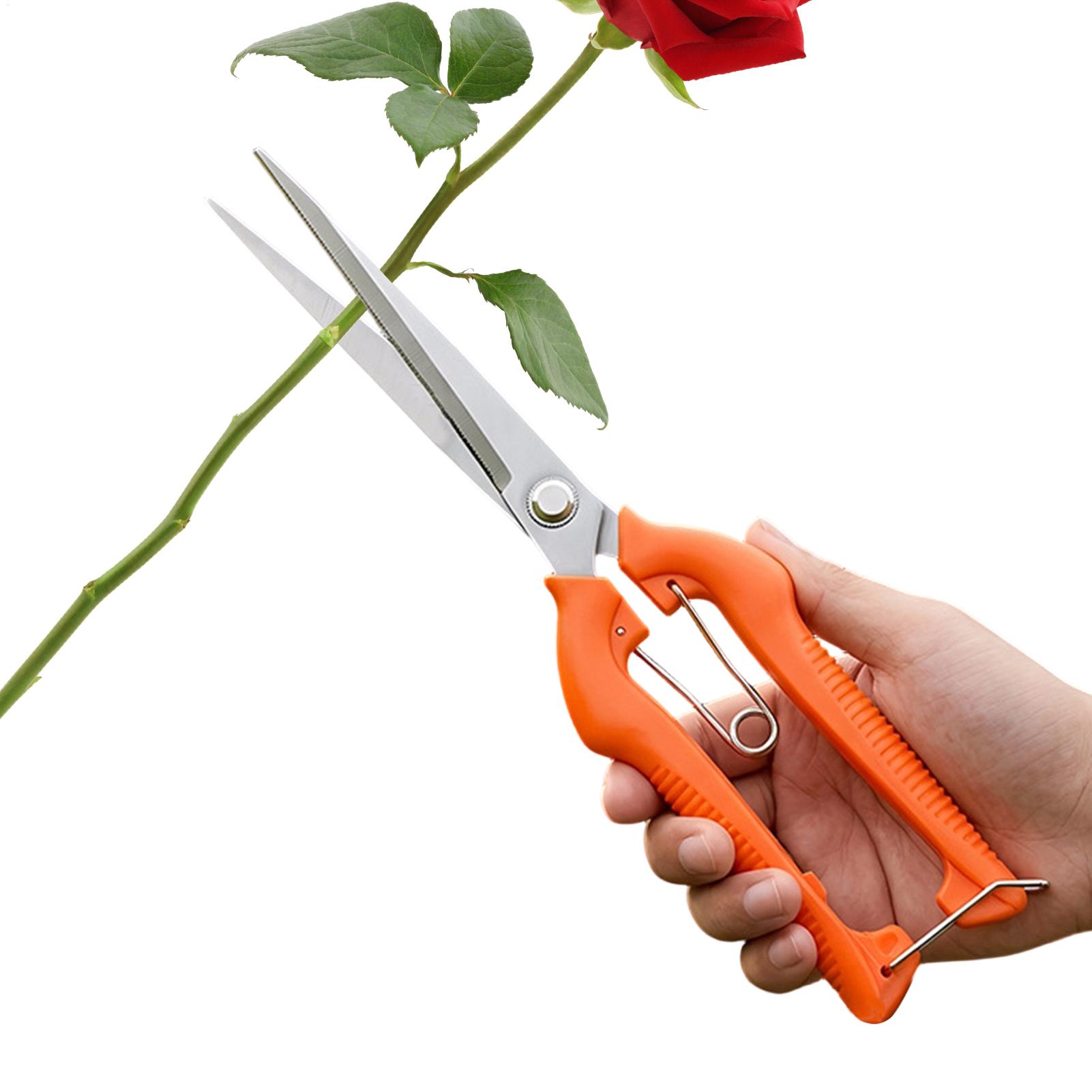 Gardening Tools For Women - 剪定鋏 葡萄鋏 園芸工具 野菜畑 盆栽 プロ仕様