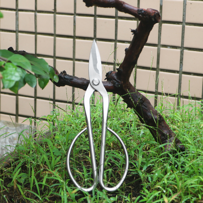 Bonsai Tool Set - オールスチール製の園芸用鋏、葉、芽、花用鋏、家庭用花盆栽鋏、葉、葉芽鋏