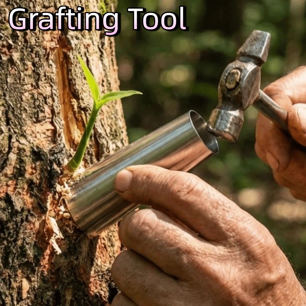 Bonsai Tool Set - 5 個のステンレス鋼の芽接ぎツール、非損傷性パイプストレートツール、果樹接ぎ木装置、ホールパンチカッター