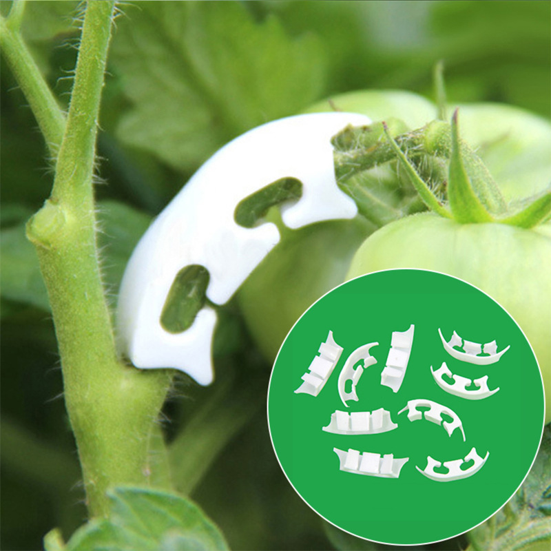 Gardening Tools For Vines - さまざまな茎を持つ保持クリップ,庭の植物を固定するためのバックル留めツール,50/100個