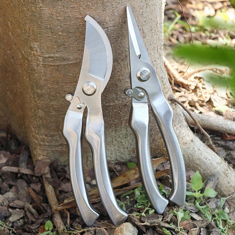 Bonsai Tool Set - オールステンレス製のプロ用園芸剪定鋏、樹木の枝の剪定、果物の収穫、緑化作業に最適