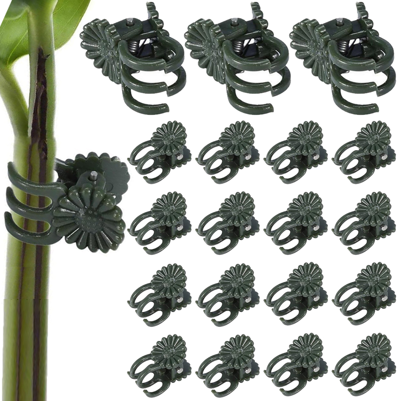 Gardening Tools For Vines - 偽の植物クリップ,胸,蝶,蘭,フラワークリップ,ガーデンアクセサリー,ツール,20個,50個,100個のサポート