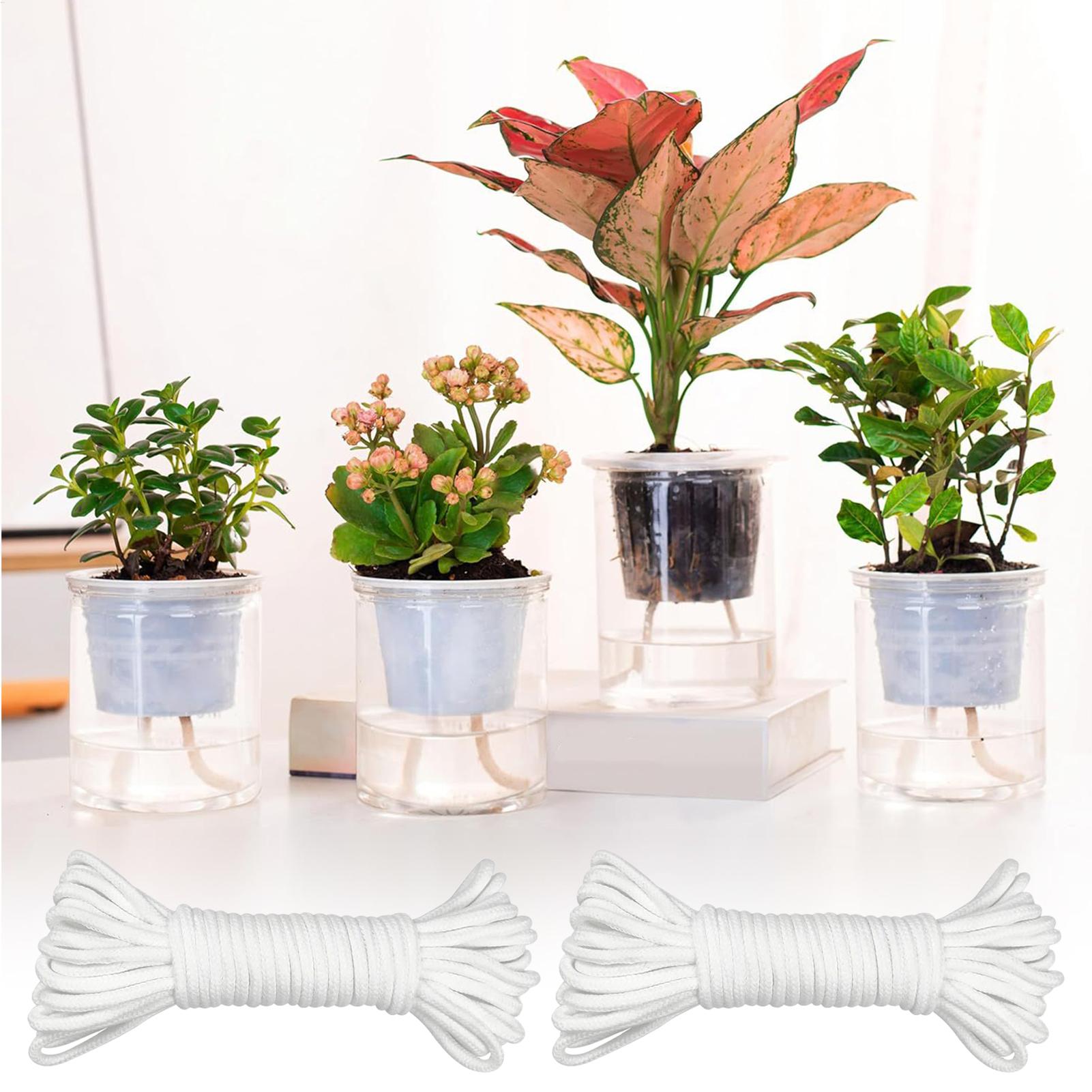 植物用芯材 自動給水用 2ピース自動給水器 ロープ植木鉢用  - Self-Watering Planter のレビューと価格