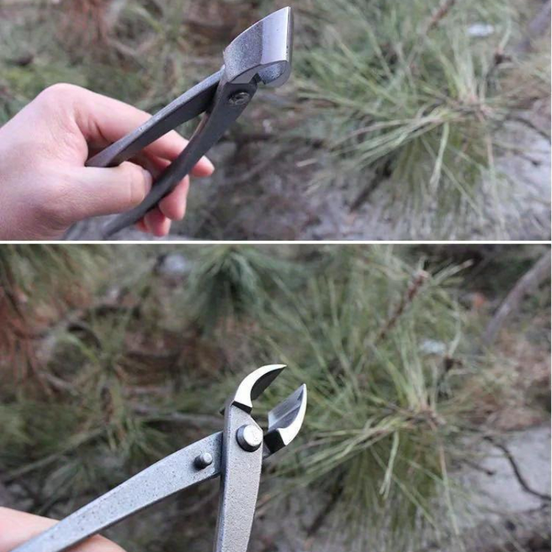 盆栽ノブカッター凹型エッジカッター210mm根切りプライヤー - Bonsai Tool Set のレビューと価格