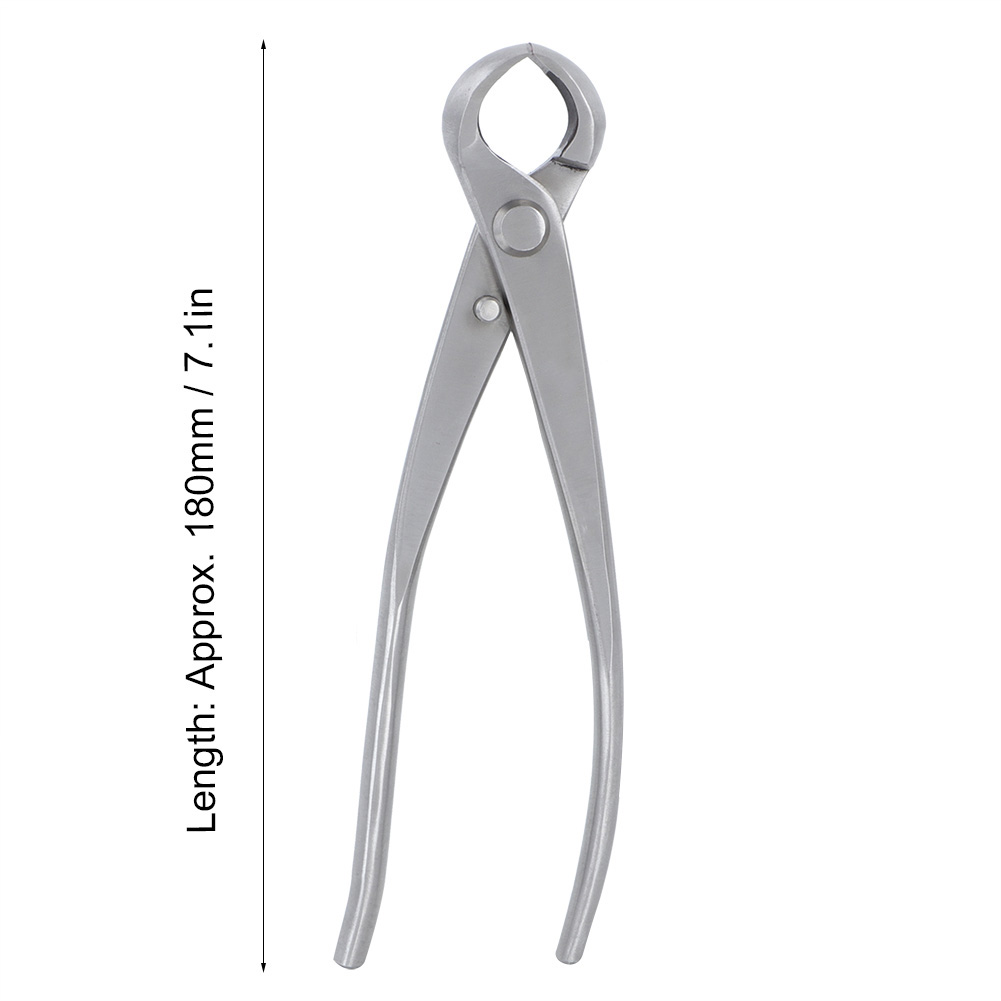 凹型ノブカッター 180mm ステンレス鋼ノブカッター ボー - Bonsai Tool Set のレビューと価格