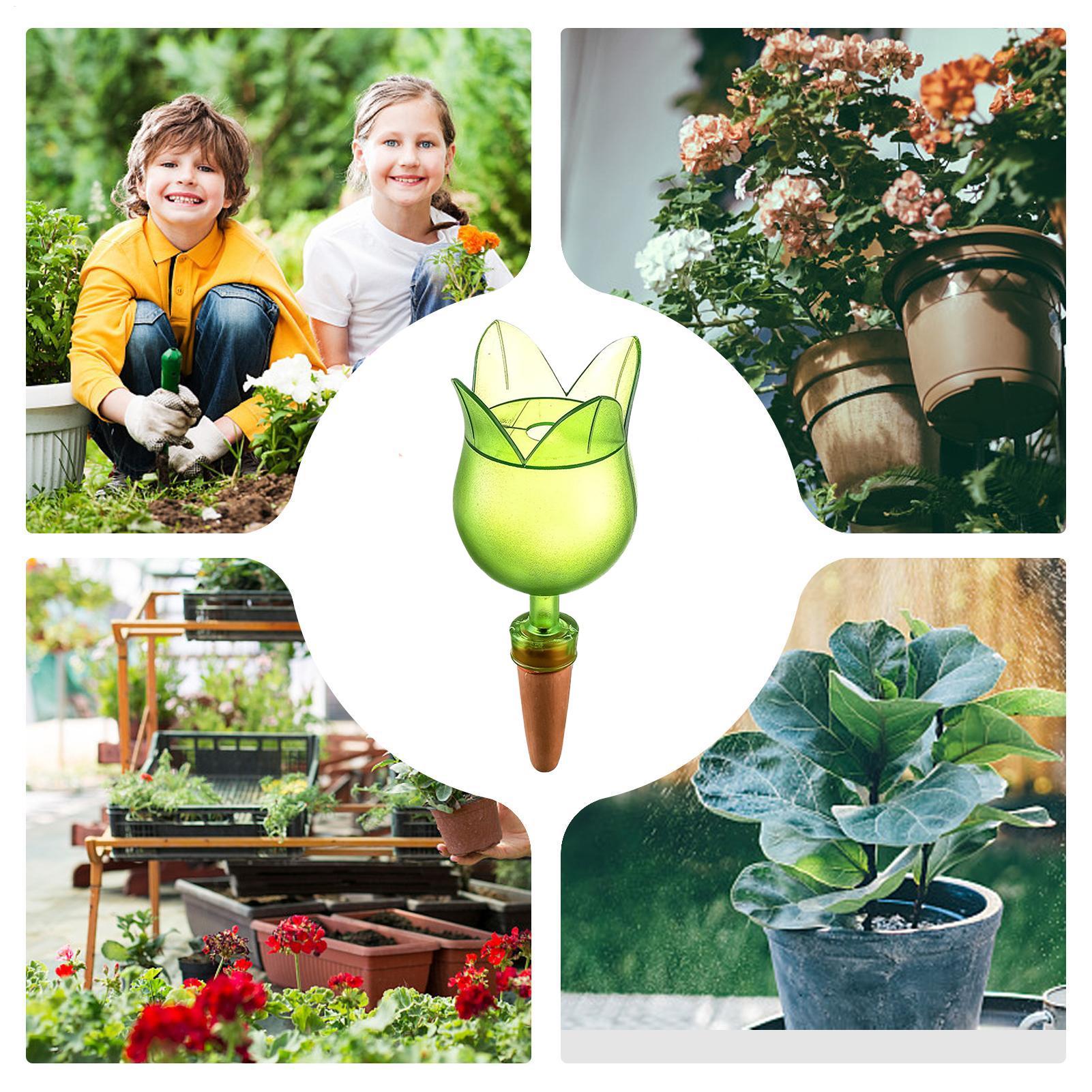植物自動給水装置、植物点滴灌漑制御システム、セラミック鉢用ス - Self-Watering Planter のレビューと価格