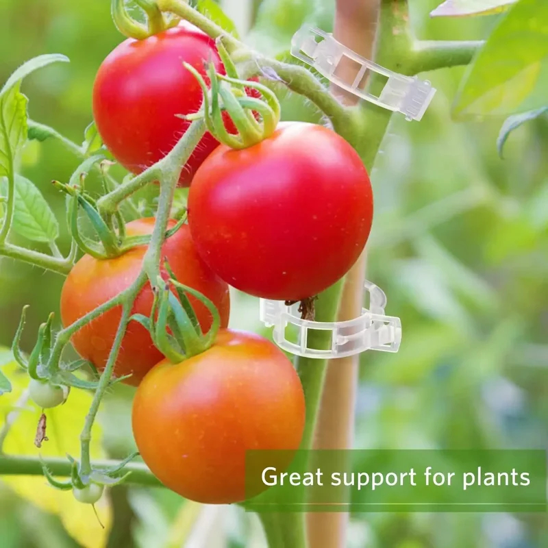 50-300個入り 植物サポートクリップ 再利用可能なプラス - Gardening Tools For Vines のレビューと価格