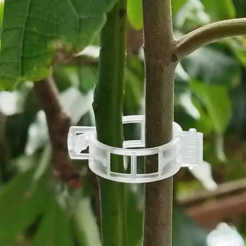 50-300個入り 植物サポートクリップ 再利用可能なプラス - Gardening Tools For Vines のレビューと価格