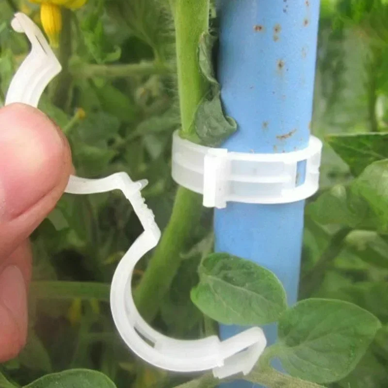 50-300個入り 植物サポートクリップ 再利用可能なプラス - Gardening Tools For Vines のレビューと価格