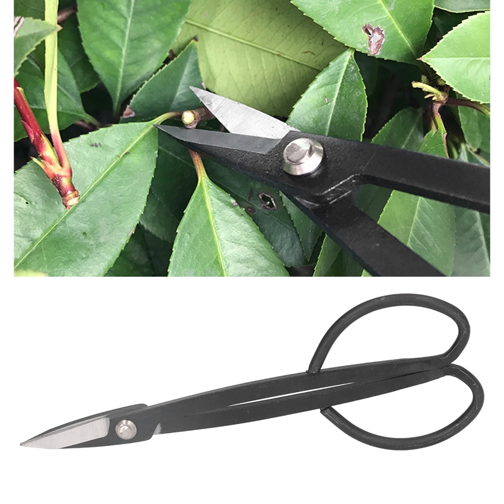 ステンレス鋼盆栽はさみバタフライハンドル黒植物枝鋏軽量剪定は - Bonsai Tool Set のレビューと価格