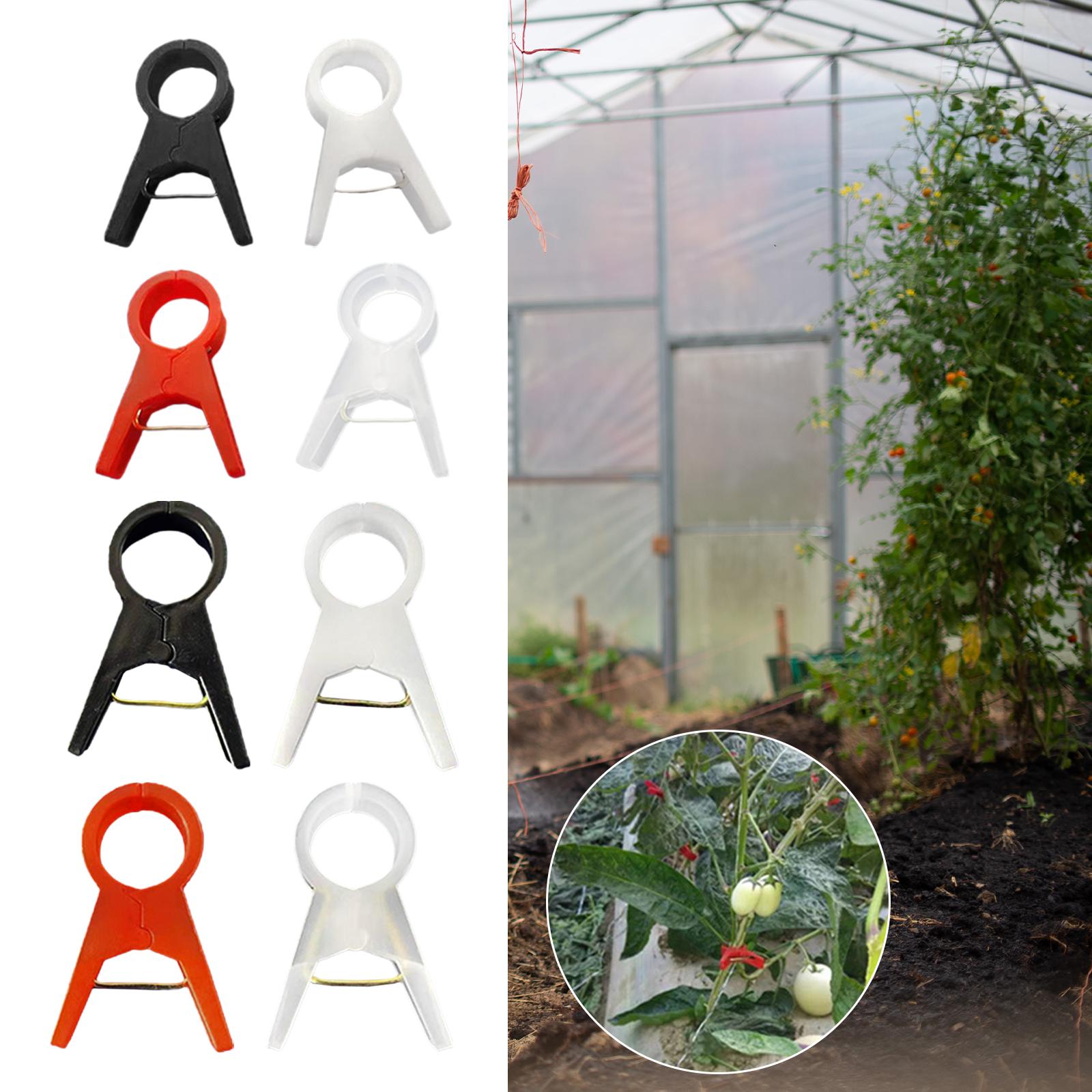100x 植物サポートクリップ垂直園芸ツールキュウリブドウつ - Gardening Tools For Vines のレビューと価格