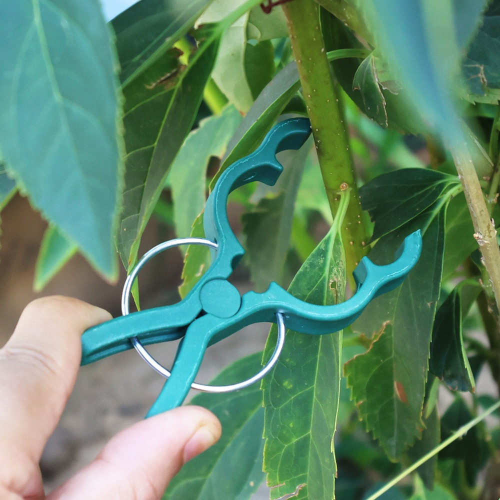 50/10個入り 植物・野菜サポート接ぎ木クリップ キュウリ - Gardening Tools For Vines のレビューと価格