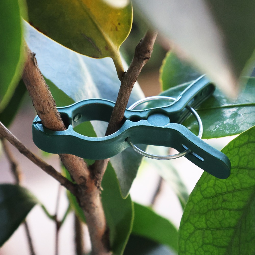 50/10個入り 植物・野菜サポート接ぎ木クリップ キュウリ - Gardening Tools For Vines のレビューと価格
