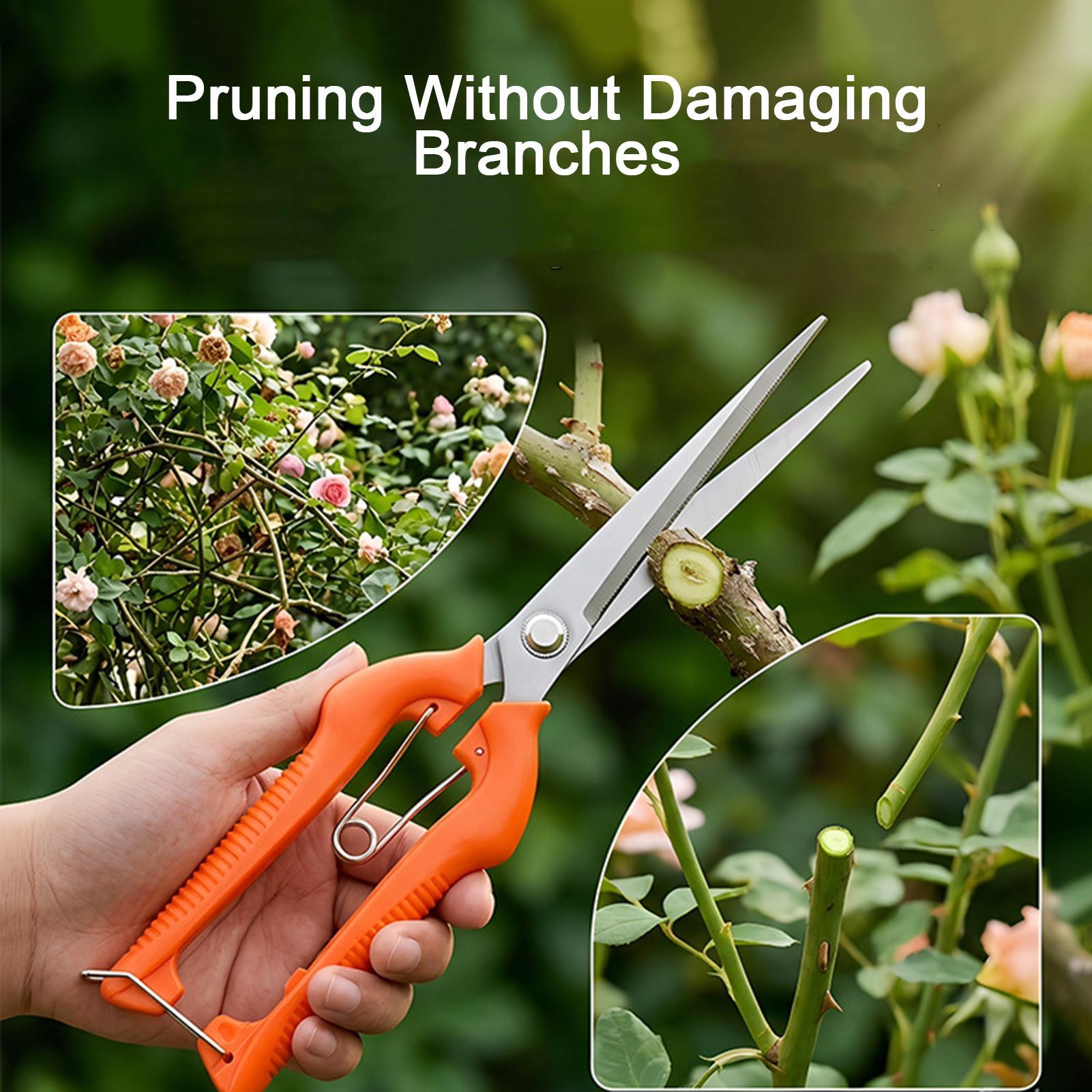 剪定鋏 葡萄鋏 園芸工具 野菜畑 盆栽 プロ仕様 ステンレス - Gardening Tools For Women のレビューと価格