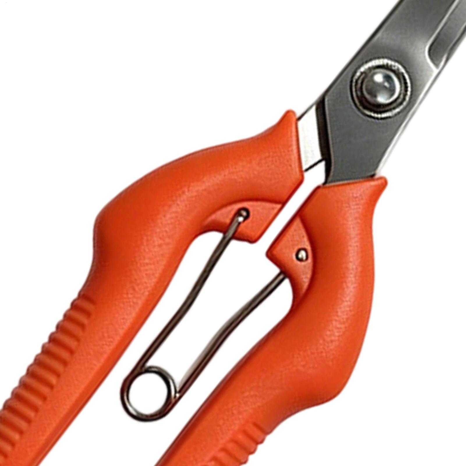 剪定鋏 葡萄鋏 園芸工具 野菜畑 盆栽 プロ仕様 ステンレス - Gardening Tools For Women のレビューと価格