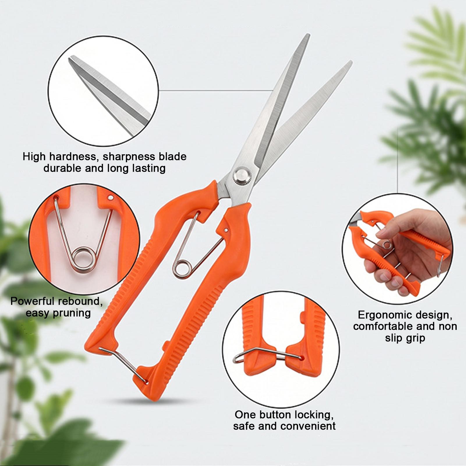 剪定鋏 葡萄鋏 園芸工具 野菜畑 盆栽 プロ仕様 ステンレス - Gardening Tools For Women のレビューと価格