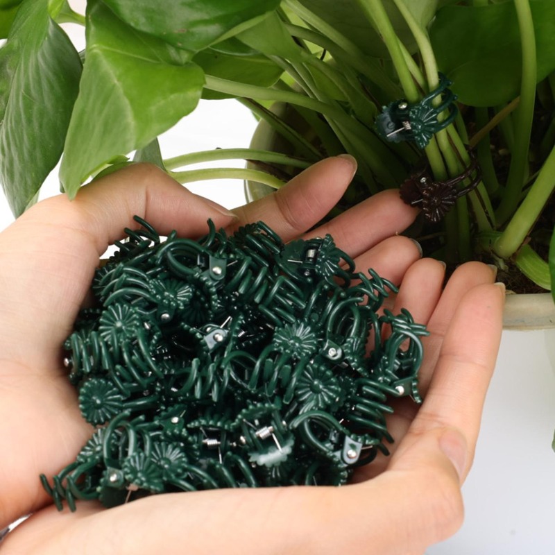 卸売ミニ植物サポートクリップ、庭の花、蘭、つる性植物用固定ク - Gardening Tools For Vines のレビューと価格