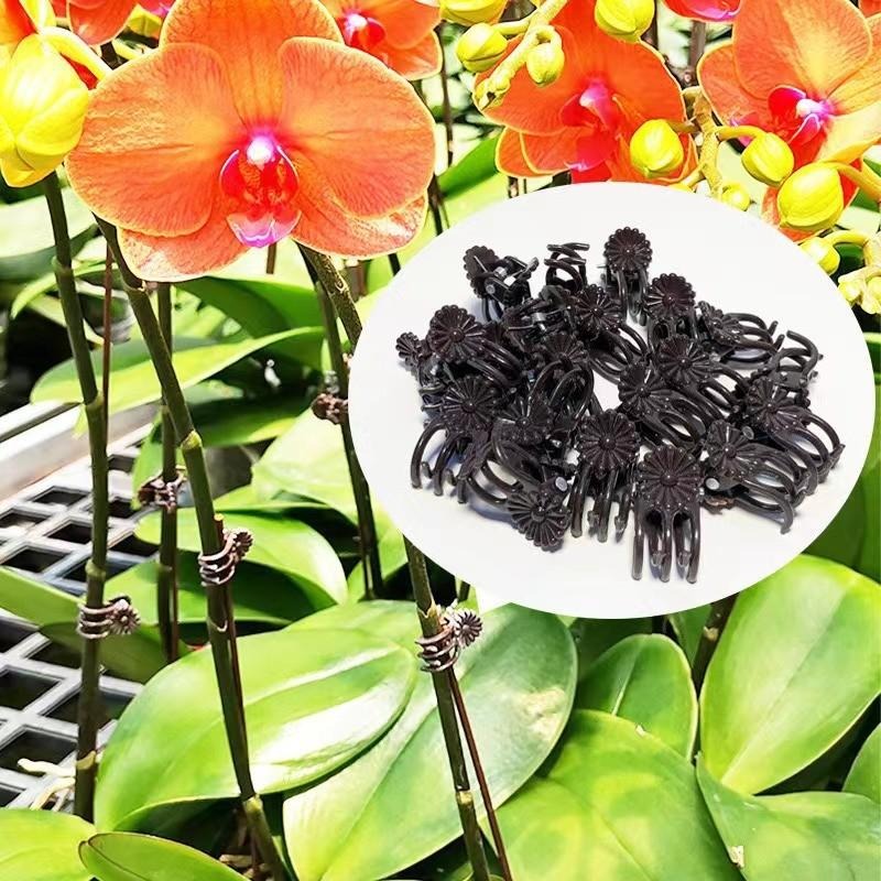 卸売ミニ植物サポートクリップ、庭の花、蘭、つる性植物用固定ク - Gardening Tools For Vines のレビューと価格
