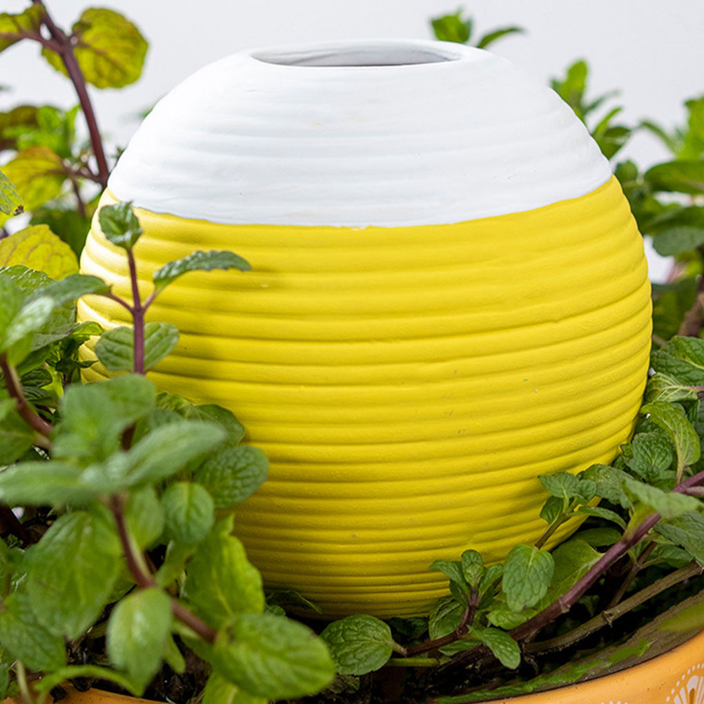 セラミック製自動植物散水ツール 庭に必須の自己散水灌漑ツール - Gardening Tools Must Haves のレビューと価格