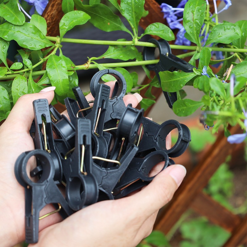 新登場 100個/10個セット 植物サポートクリップ 再利用 - Gardening Tools For Vines のレビューと価格