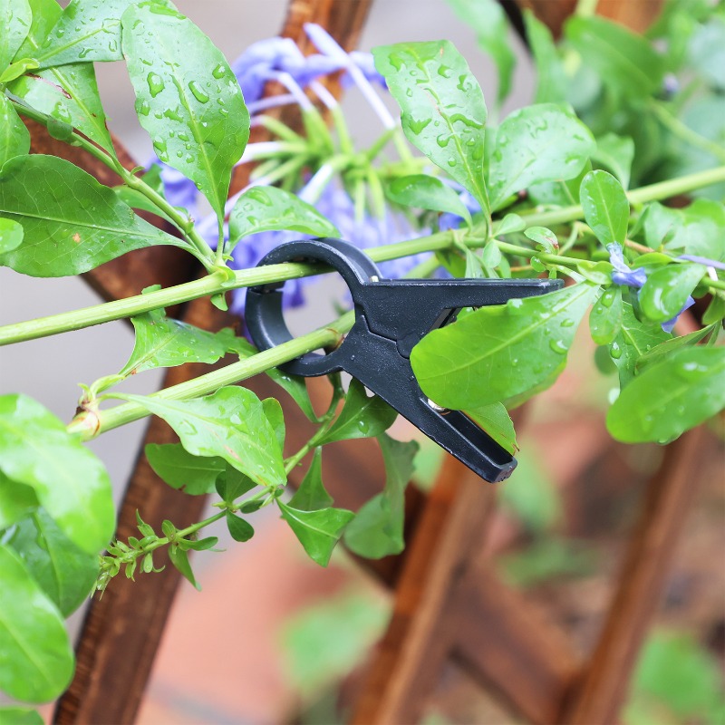 新登場 100個/10個セット 植物サポートクリップ 再利用 - Gardening Tools For Vines のレビューと価格