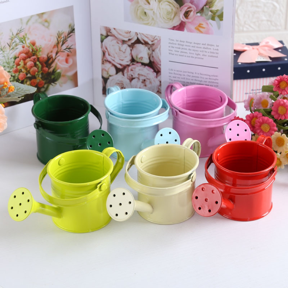子供と大人のための金属製の水スプレーポット,庭のケトル,小さ - Gardening Tools Kids のレビューと価格