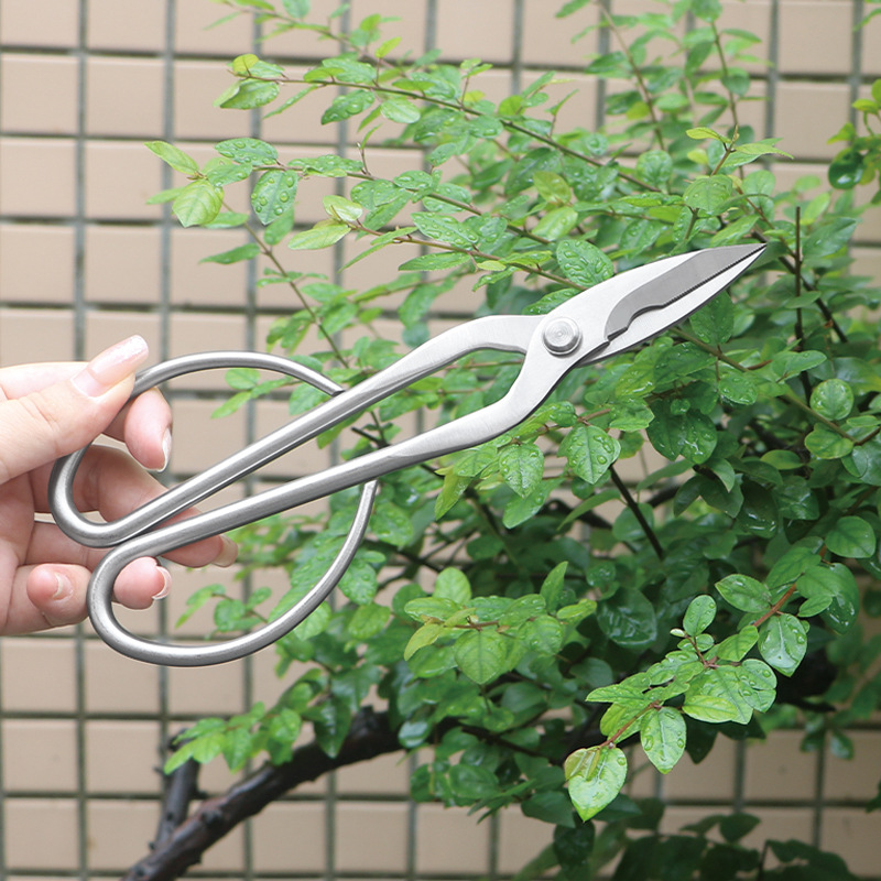 オールスチール製の園芸用鋏、葉、芽、花用鋏、家庭用花盆栽鋏、 - Bonsai Tool Set のレビューと価格