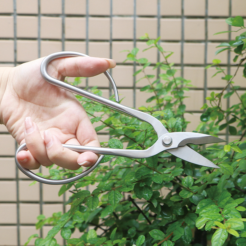 オールスチール製の園芸用鋏、葉、芽、花用鋏、家庭用花盆栽鋏、 - Bonsai Tool Set のレビューと価格