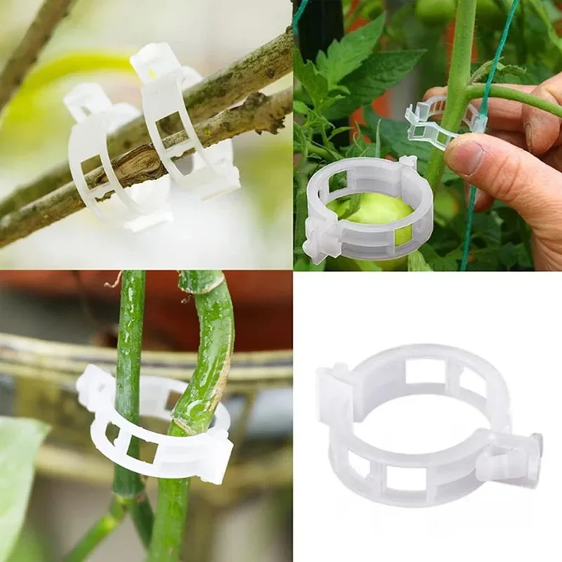 100 個植物固定クリップ再利用可能な植物野菜つる接続固定ツ - Gardening Tools For Vines のレビューと価格