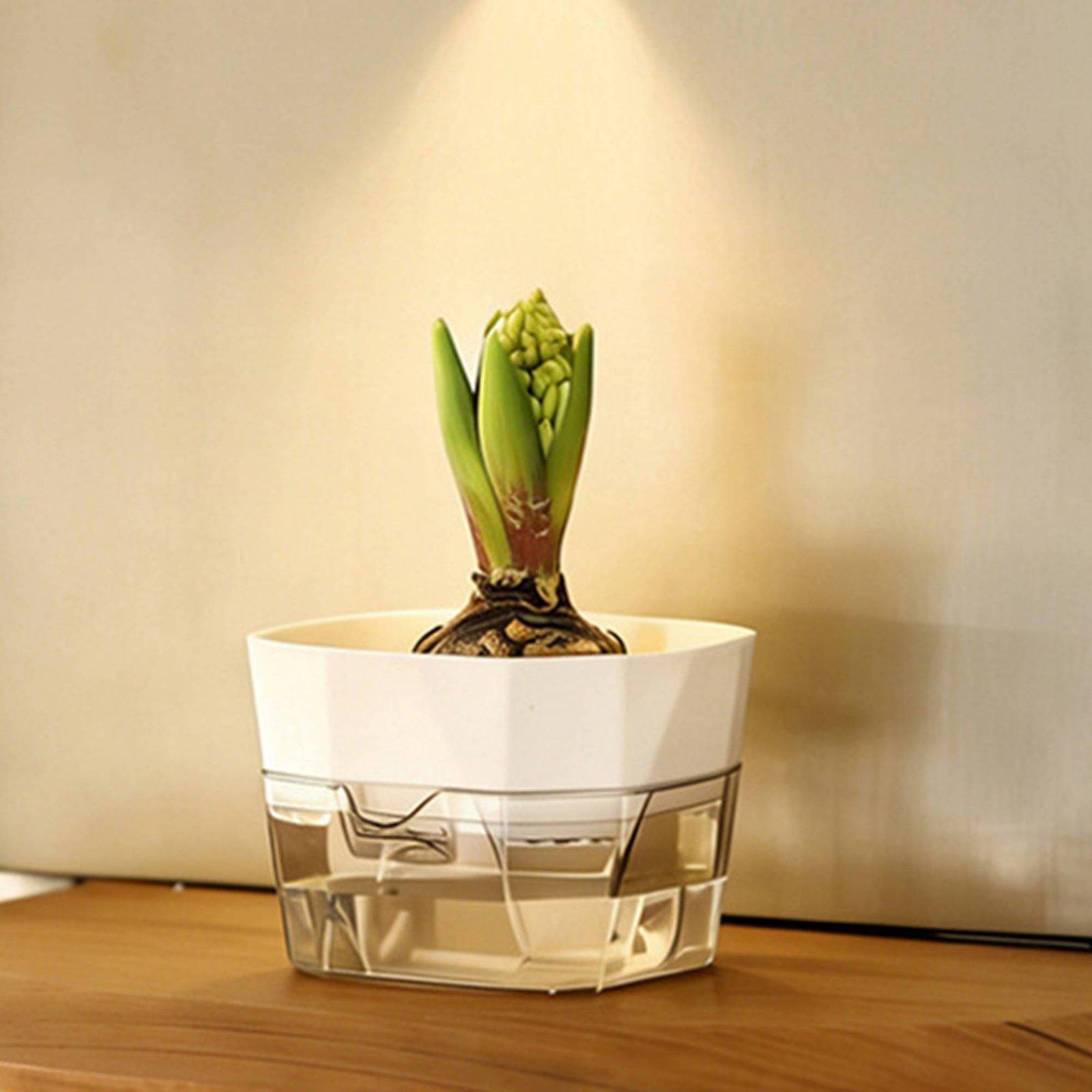 水耕栽培用花瓶 二層式自動給水プランター 透明PET製植木鉢 - Self-Watering Planter のレビューと価格