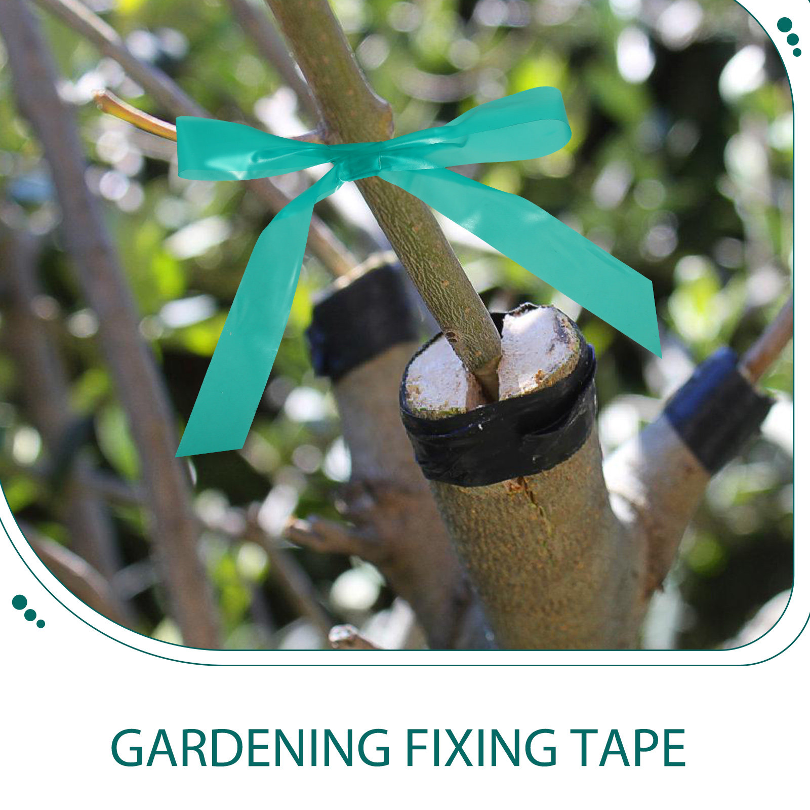 2巻入りガーデンタイテープ 伸縮性のある再利用可能な植物固定 - Grafting Tape のレビューと価格