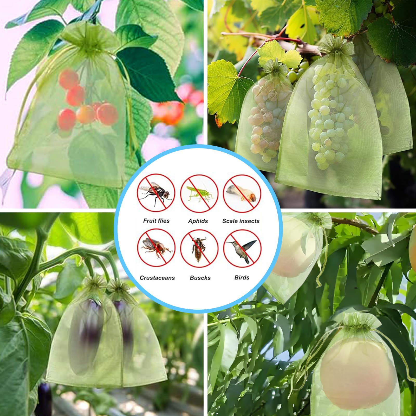 効果的な防鳥ネット、果物保護バッグ、植物育成カバー、イチゴ、 - Grow Bags のレビューと価格
