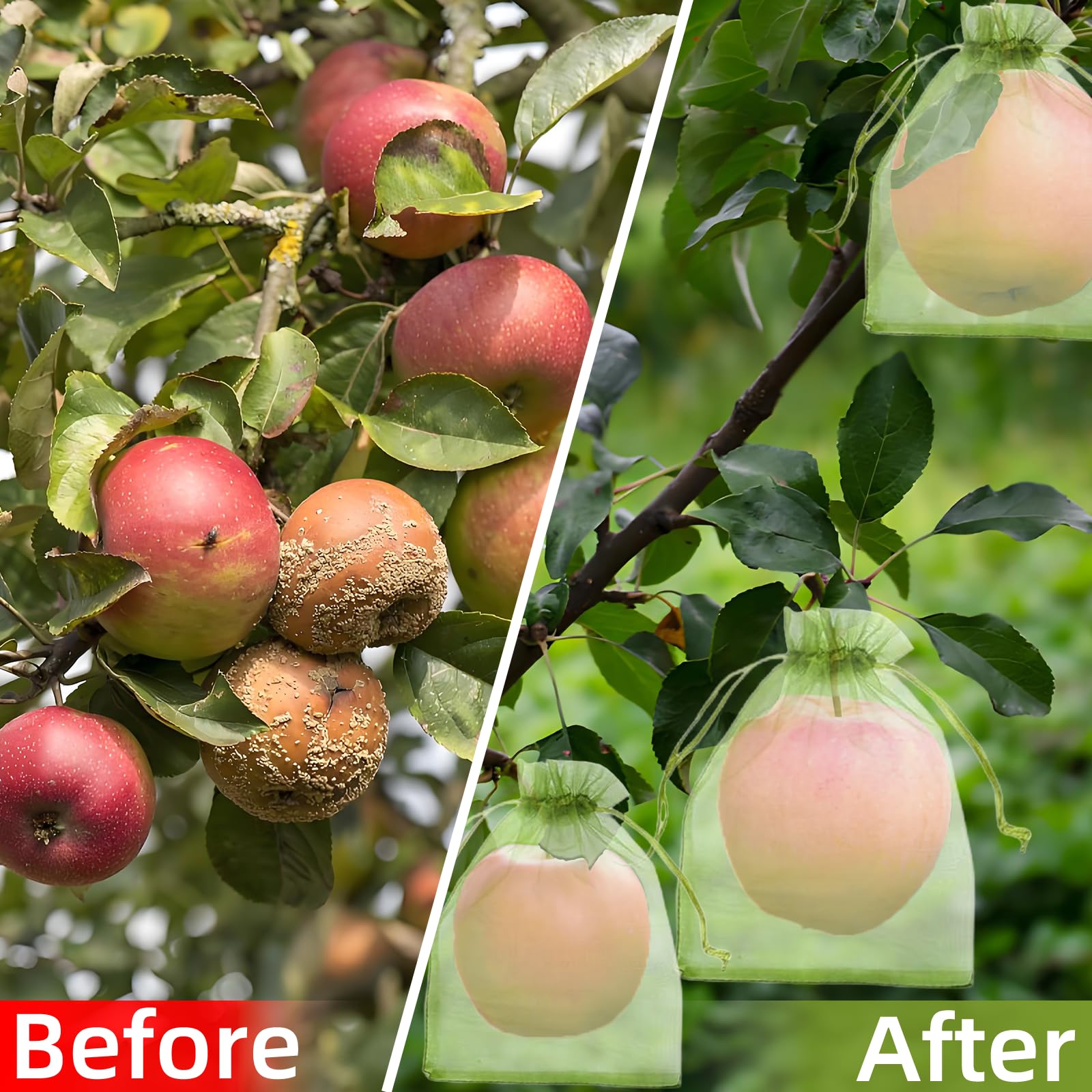 効果的な防鳥ネット、果物保護バッグ、植物育成カバー、イチゴ、 - Grow Bags のレビューと価格
