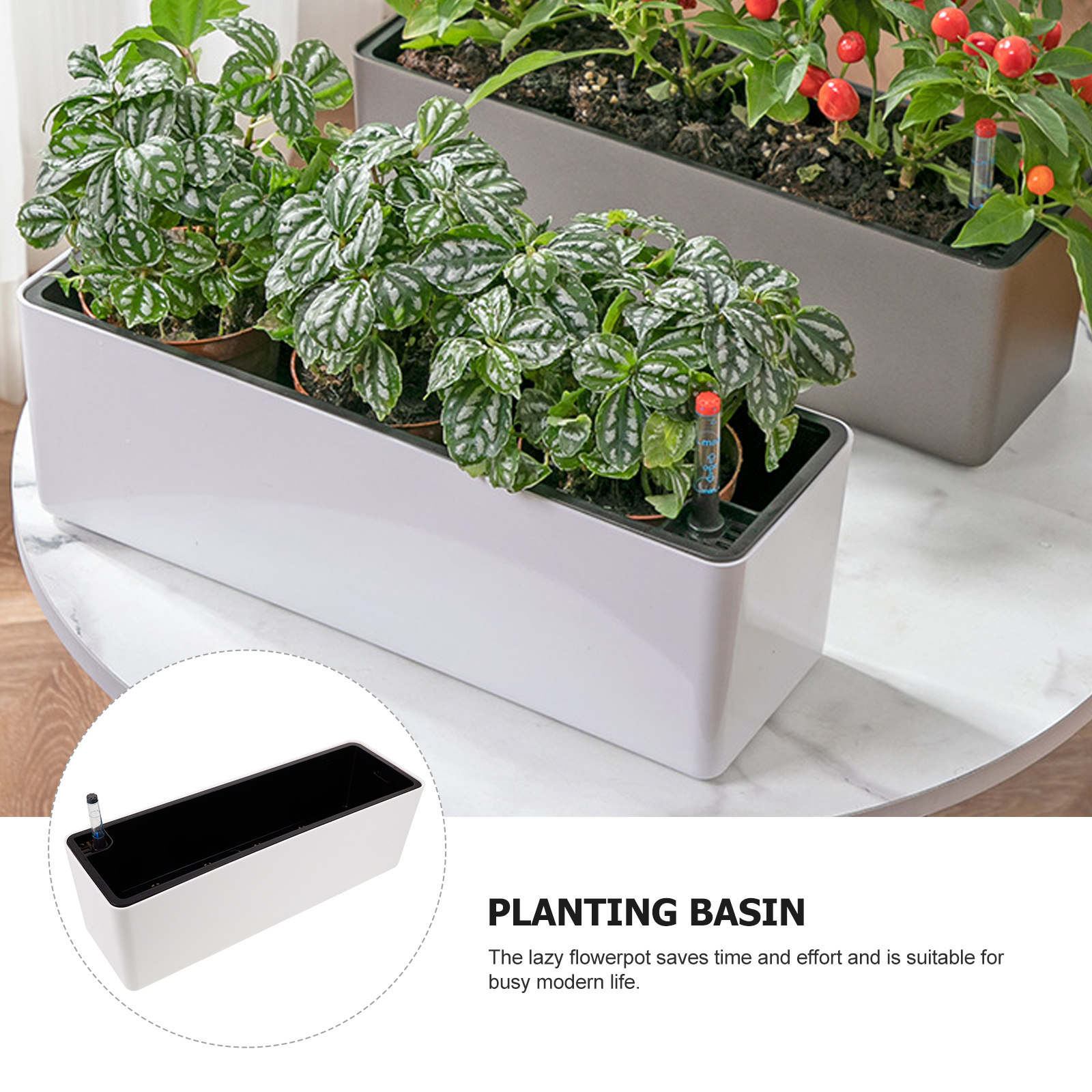 1セット 厚い細縁プラスチック製プランターポット 自動給水植 - Self-Watering Planter のレビューと価格