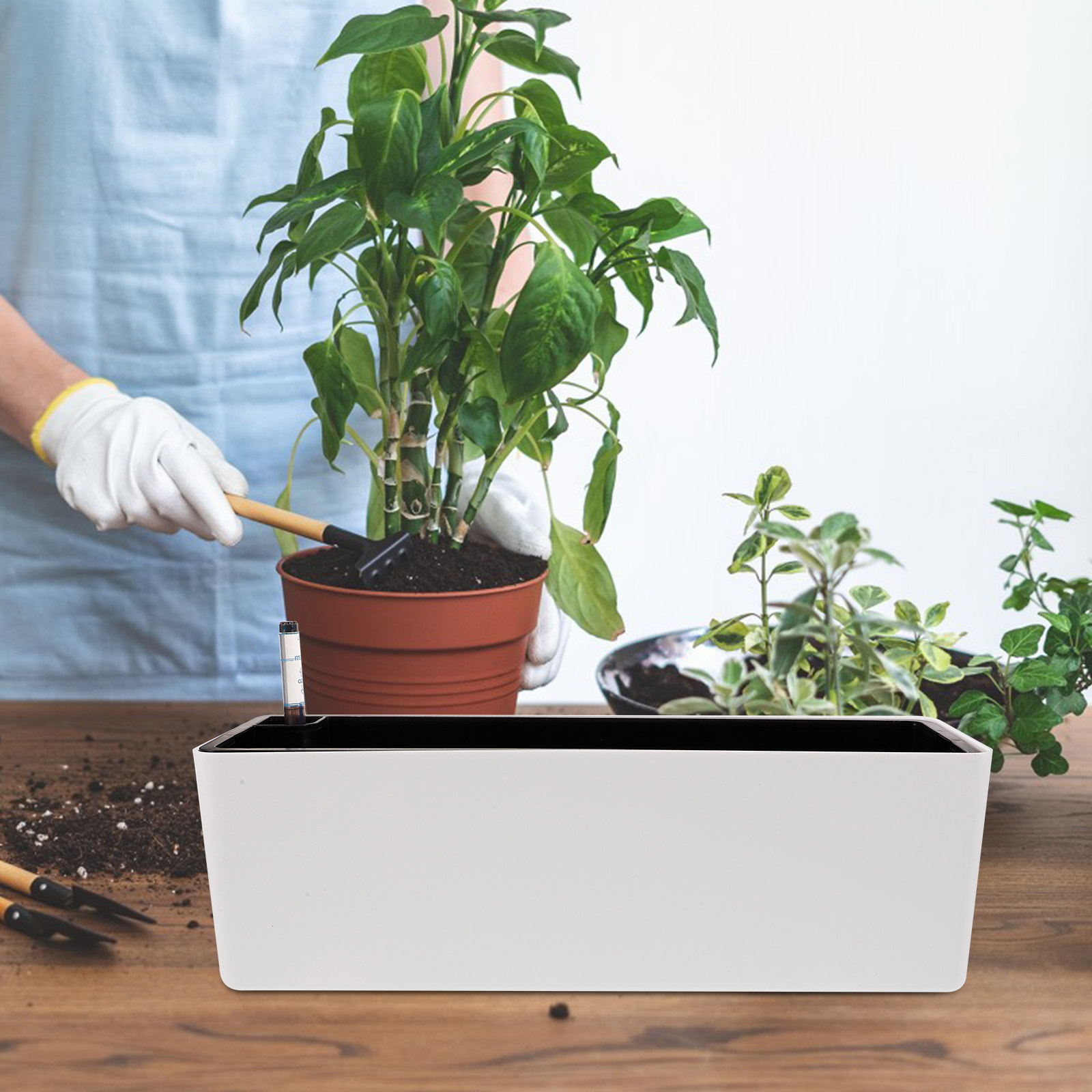 1セット 厚い細縁プラスチック製プランターポット 自動給水植 - Self-Watering Planter のレビューと価格