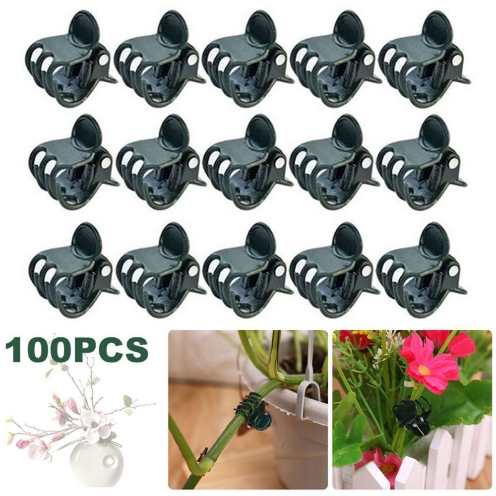 偽の植物、植物用品、蘭のクリップ、花のサポート、ガーデンツー - Gardening Tools For Vines のレビューと価格