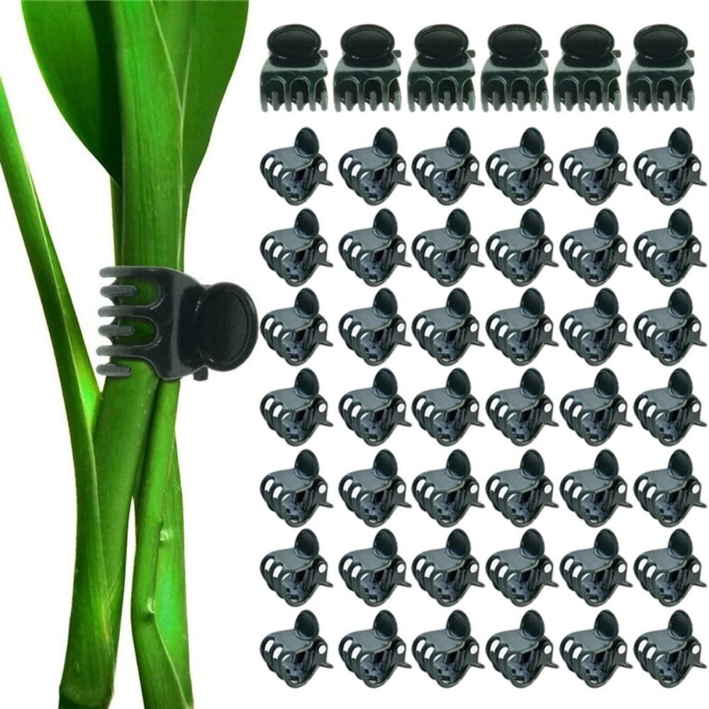 偽の植物、植物用品、蘭のクリップ、花のサポート、ガーデンツー - Gardening Tools For Vines のレビューと価格