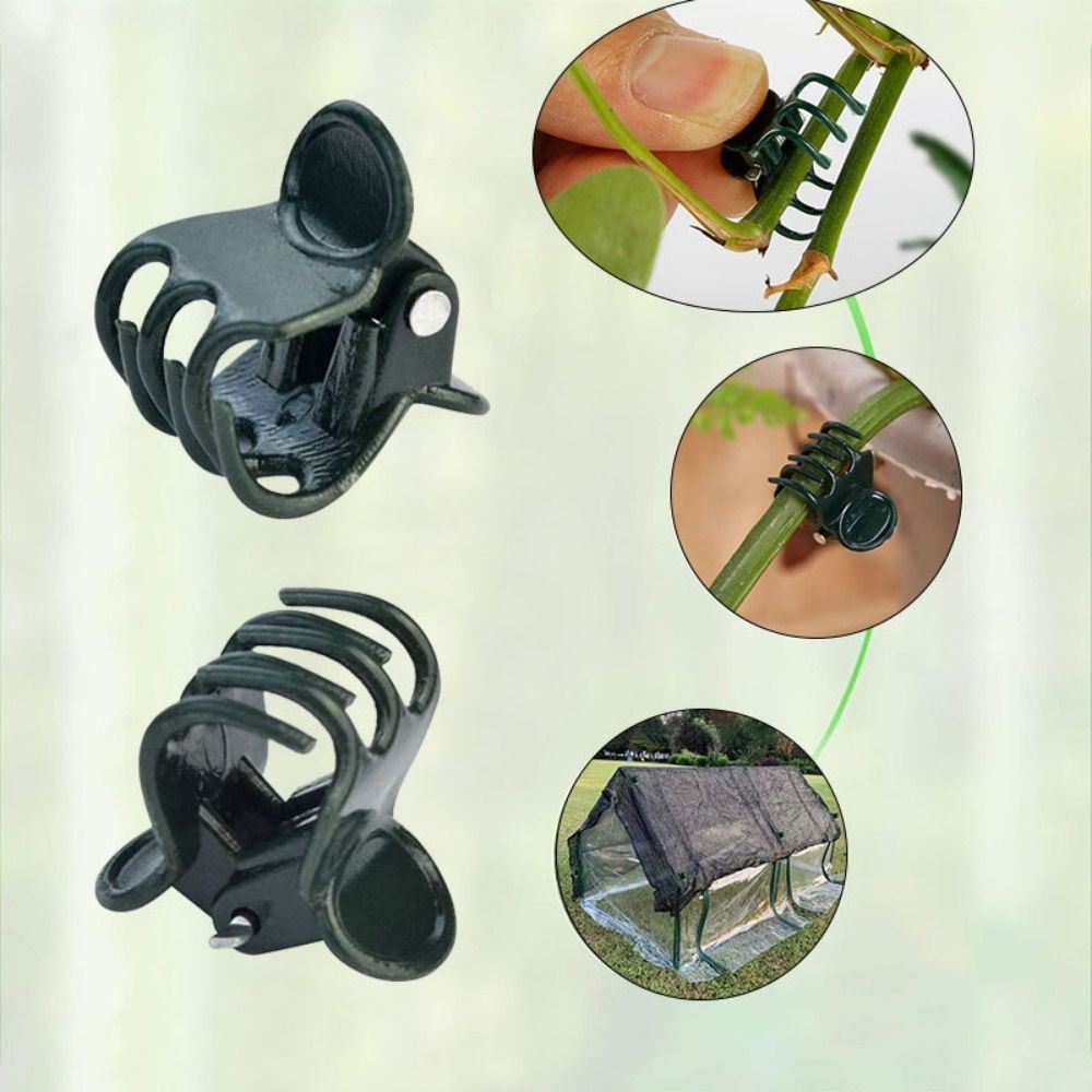 偽の植物、植物用品、蘭のクリップ、花のサポート、ガーデンツー - Gardening Tools For Vines のレビューと価格