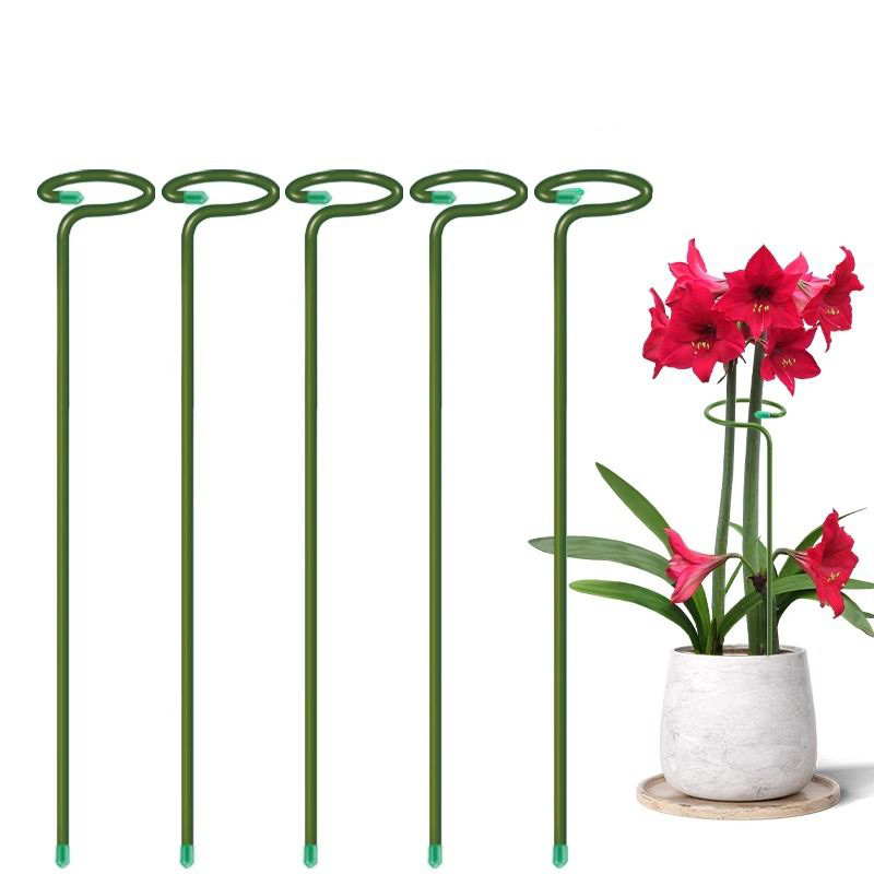 1-10 個金属単一幹植物低木ホルダーガーデンサポートステー - Gardening Tools For Vines のレビューと価格