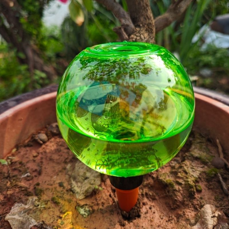 3個入り大型植物自動給水グローブ、プラスチック製水球、自動給 - Self-Watering Planter のレビューと価格