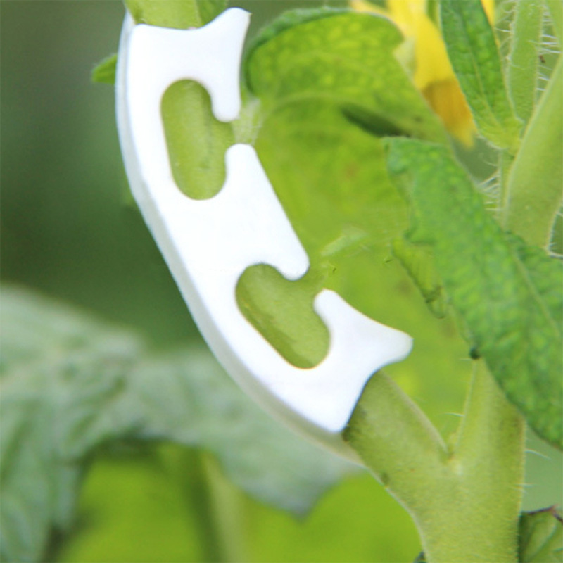 さまざまな茎を持つ保持クリップ,庭の植物を固定するためのバッ - Gardening Tools For Vines のレビューと価格