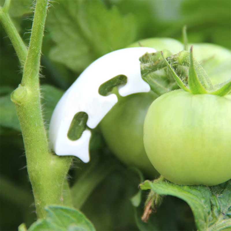 さまざまな茎を持つ保持クリップ,庭の植物を固定するためのバッ - Gardening Tools For Vines のレビューと価格
