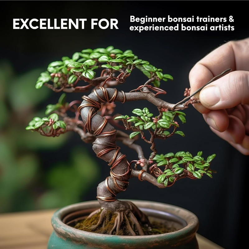 5 メートル盆栽トレーニングワイヤーセット庭の植物サポート用 - Bonsai Tool Set のレビューと価格