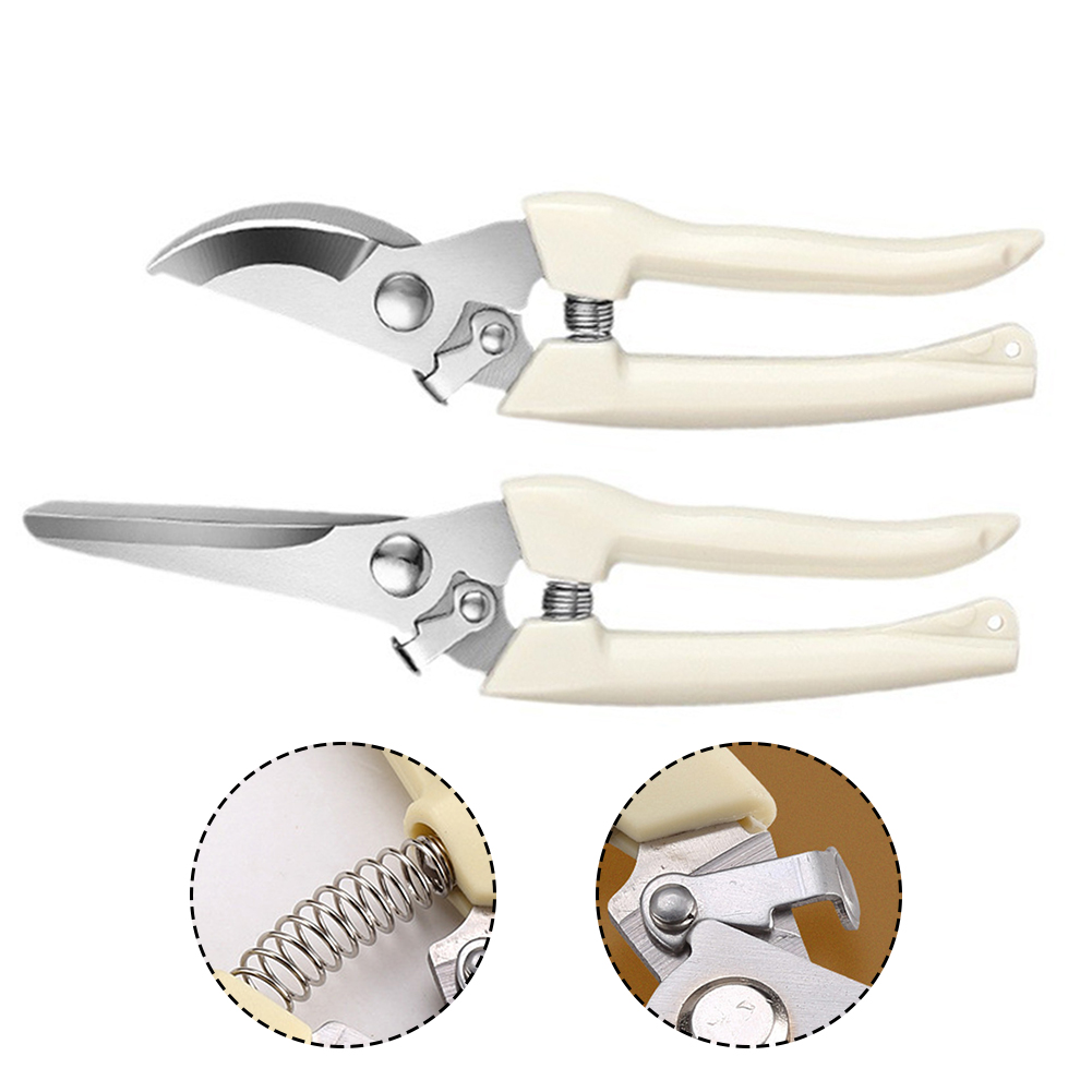 剪定鋏ハンドツール盆栽園芸用ステンレス鋼剪定鋏はさみ花枝草 - Bonsai Tool Set のレビューと価格
