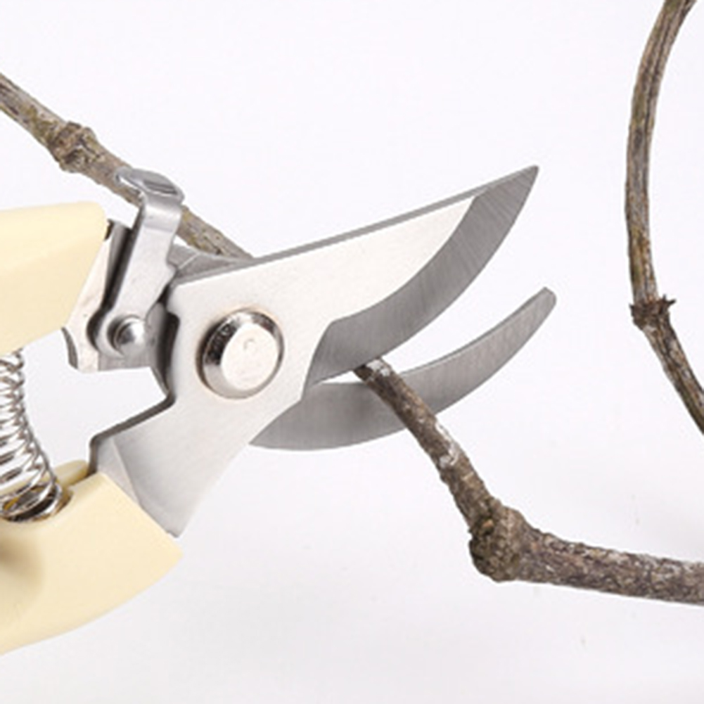 剪定鋏ハンドツール盆栽園芸用ステンレス鋼剪定鋏はさみ花枝草 - Bonsai Tool Set のレビューと価格