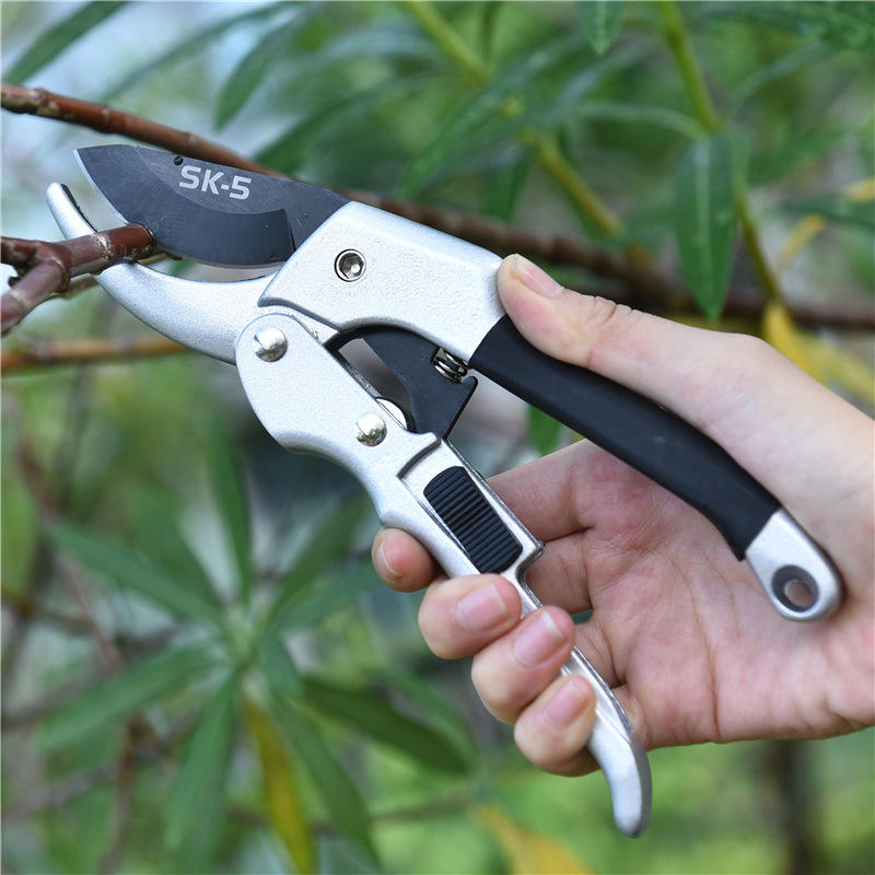 剪定ばさみ,剪定,ラチェット,植物トリム,庭の剪定ツール,新 - Gardening Tools For Women のレビューと価格