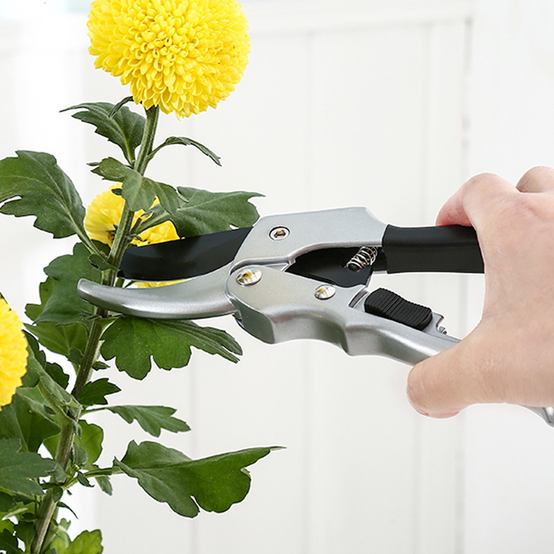 剪定ばさみ,剪定,ラチェット,植物トリム,庭の剪定ツール,新 - Gardening Tools For Women のレビューと価格